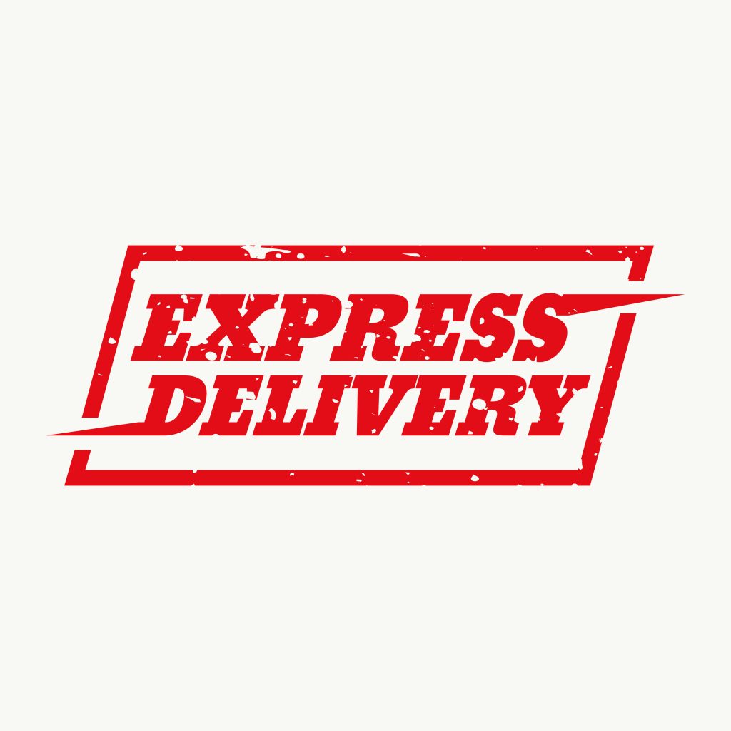 express courier fastest courier service