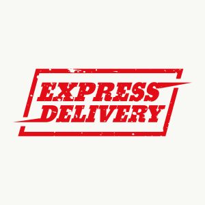 express courier fastest courier service